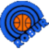 萨龙诺 logo