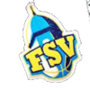 FSV女篮 logo