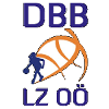 DBB林兹威尔斯女篮 logo