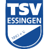 TSV埃辛根 logo